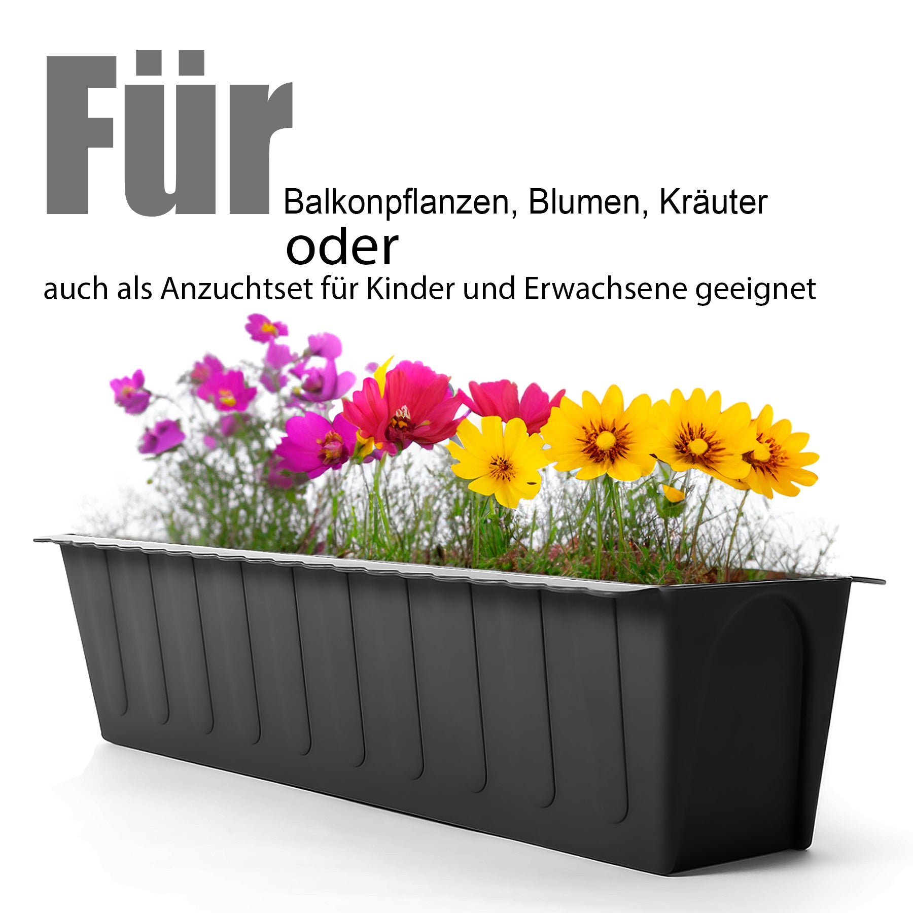 BigDean Garten Blumenkasten Einsatz anthrazit 4er Set UV-stabil