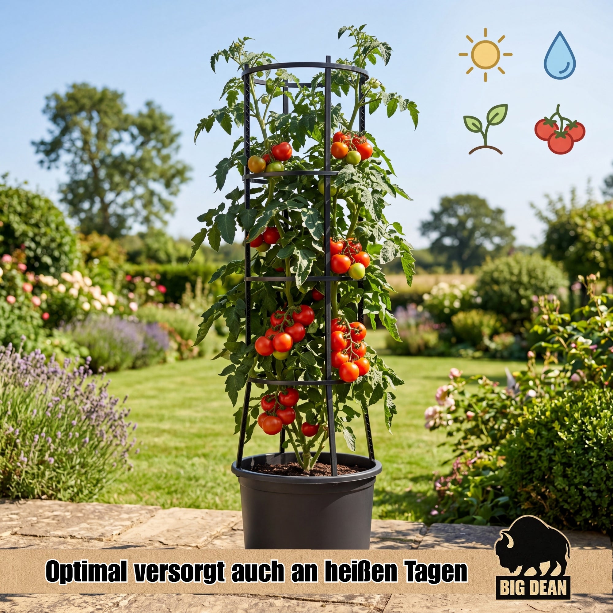 BigDean Garten Tomatentopf XL 40cm Rankhilfe 2er Set