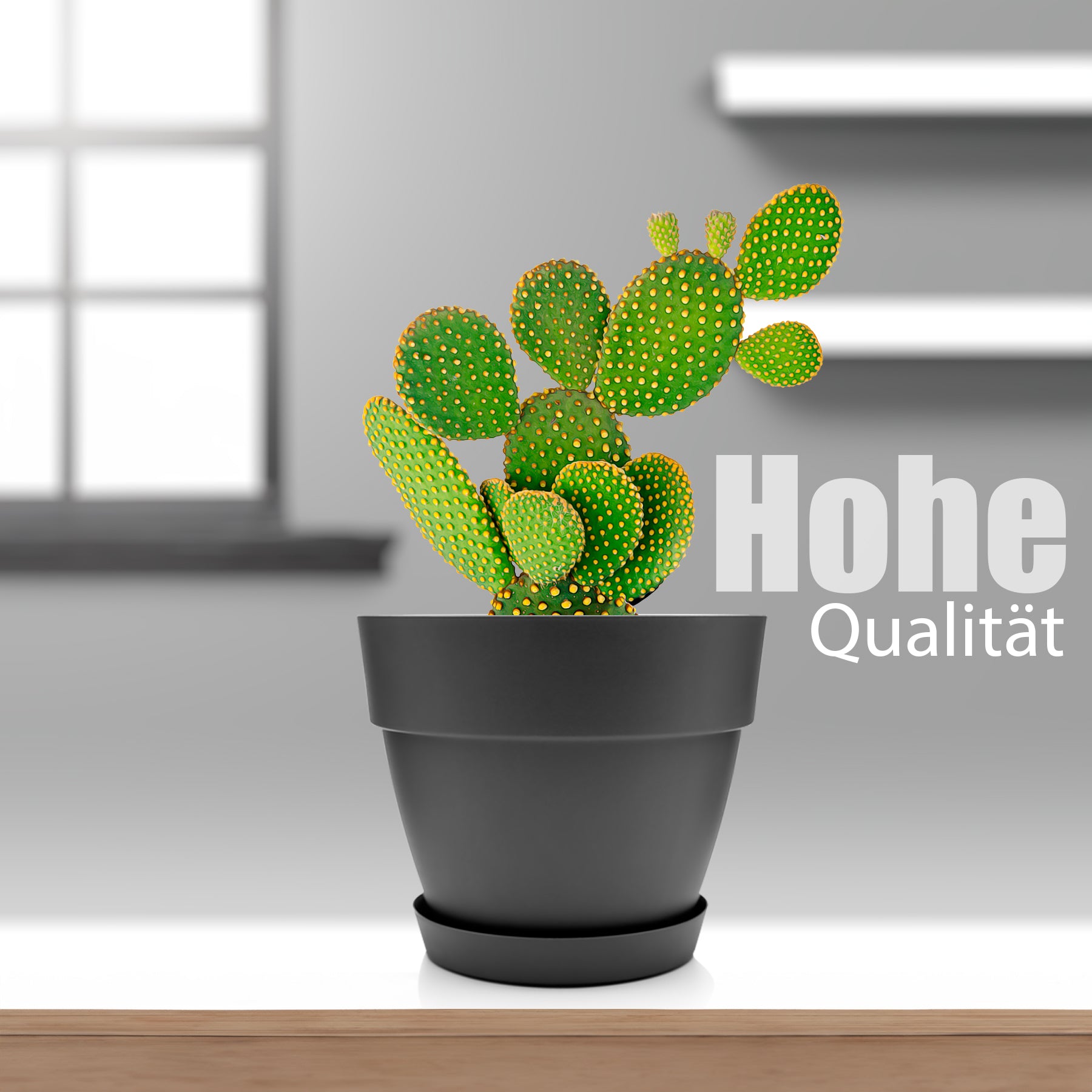 BigDean Blumentopf mit Untersetzer 3er Set ø40 Anthrazit