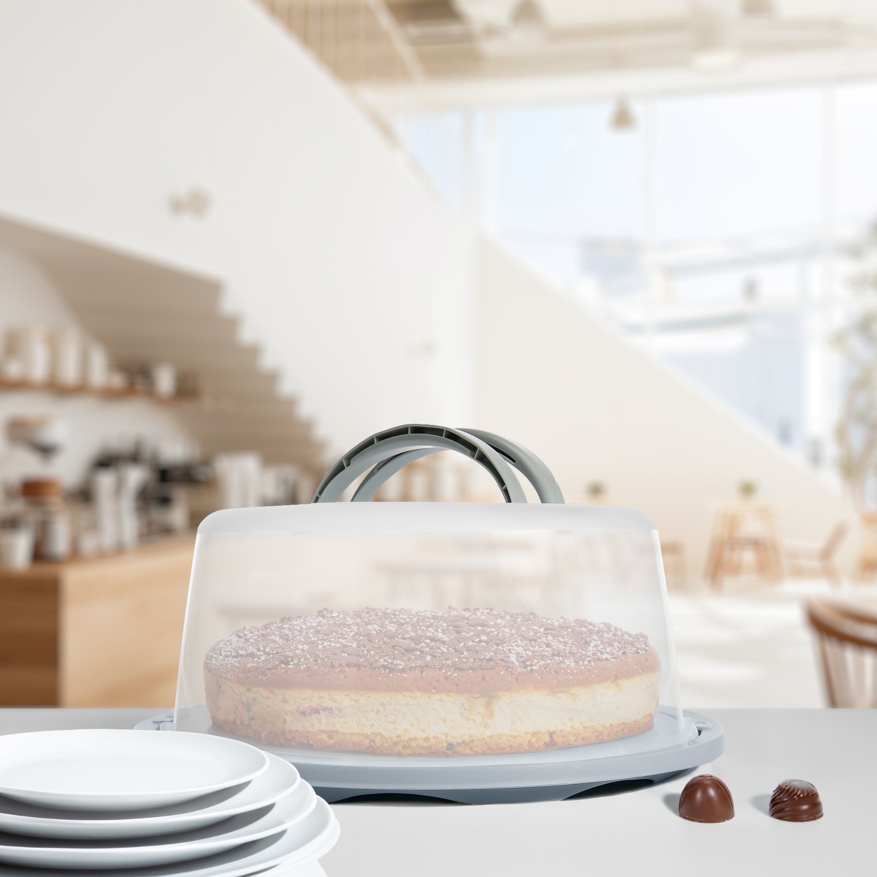 BigDean Kuchentransportbox rund Tortenbox pastellgrau Tragegriff
