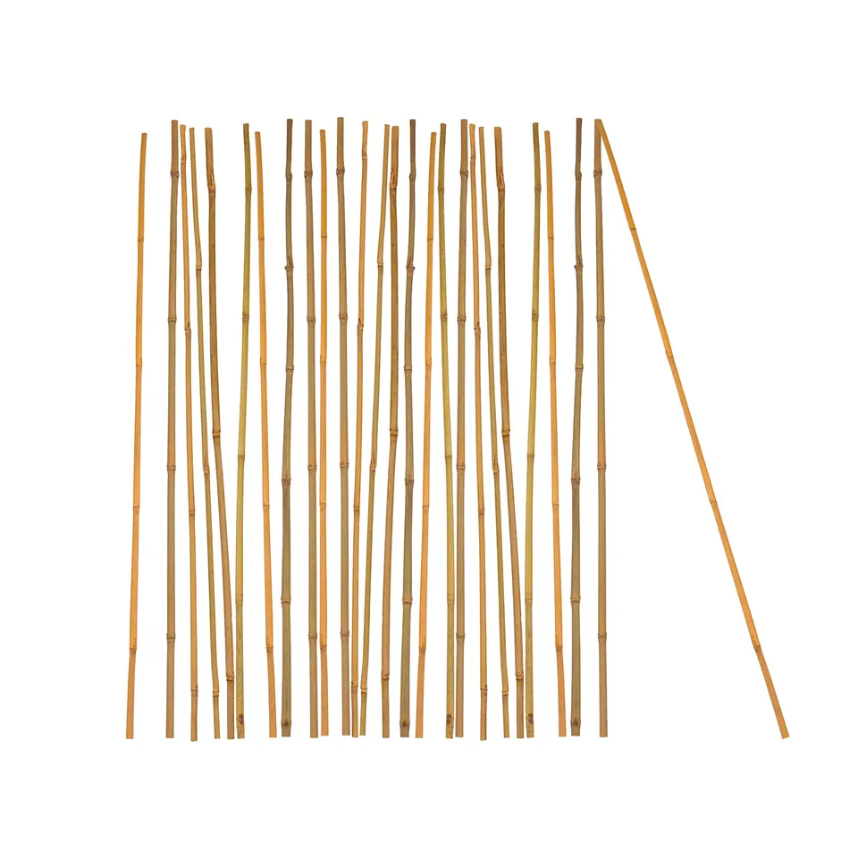 BigDean Garten Pflanzstab Bambus 105cm 25er Rankhilfe