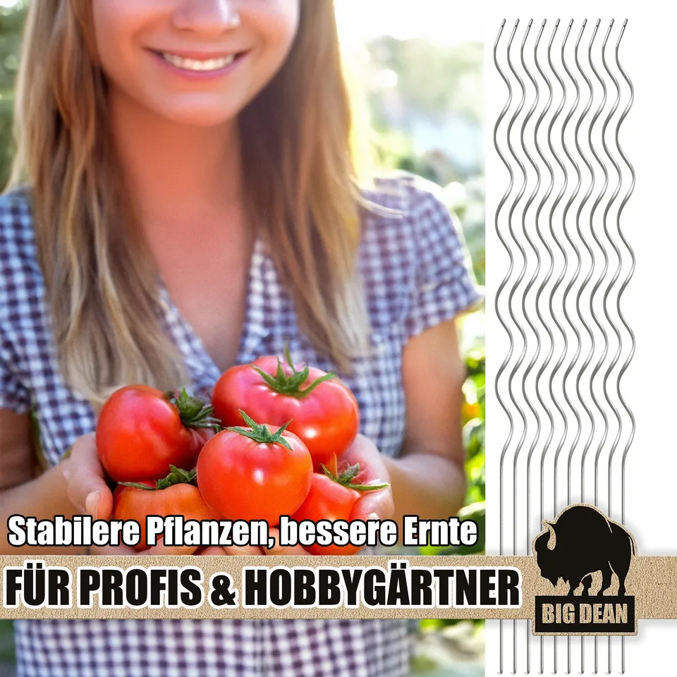 BigDean Tomatenspiralstäbe 110cm verzinkt 20er Set Stahl