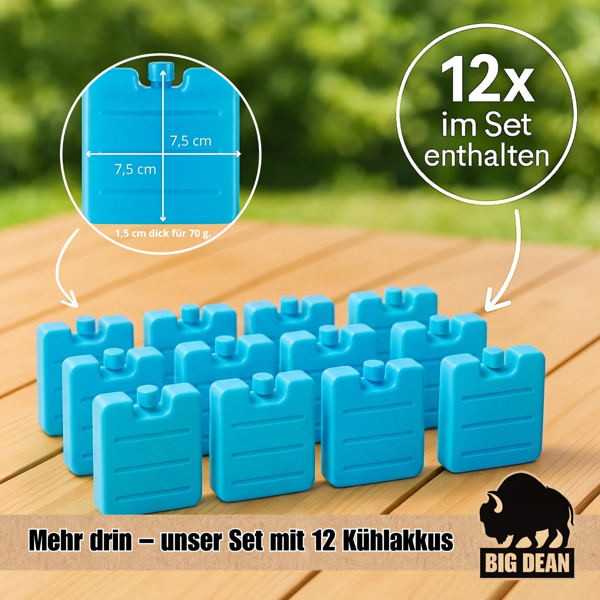 BigDean Kühlbox 24 Liter inkl. 12 Kühlakkus bis 11h