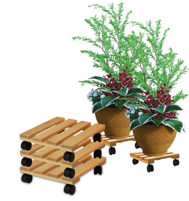BigDean Pflanzenroller eckig 30x30cm 3er Set Holz 120kg