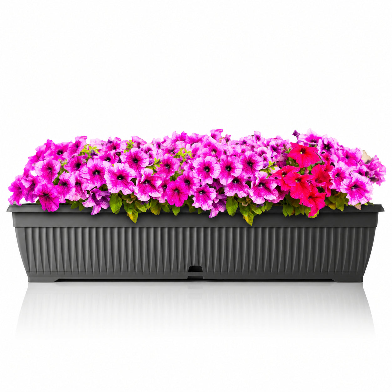 BigDean Blumenkasten 80cm Anthrazit mit Untersetzer Speicher