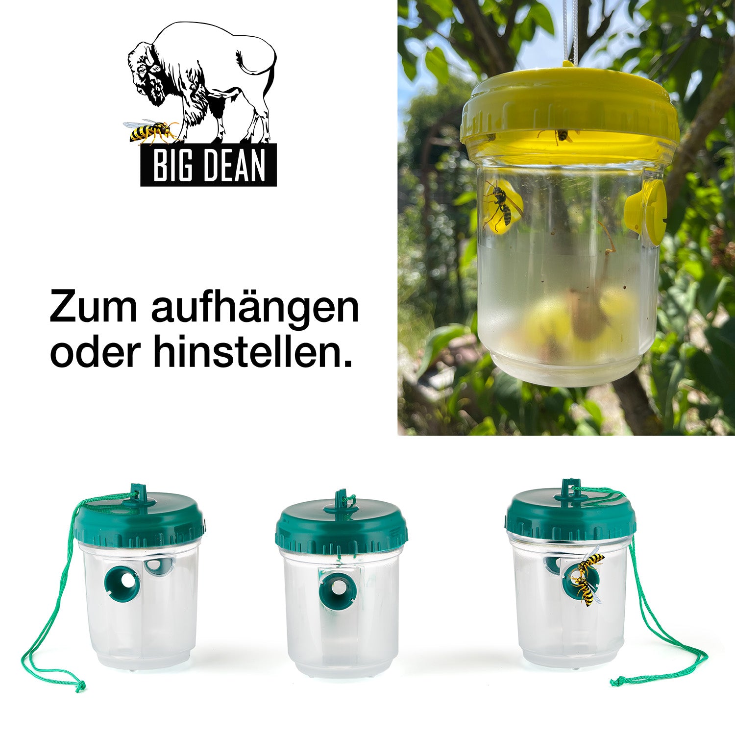 BigDean Garten Wespenfallen Grün 9x13cm 3er Set Lebendfalle