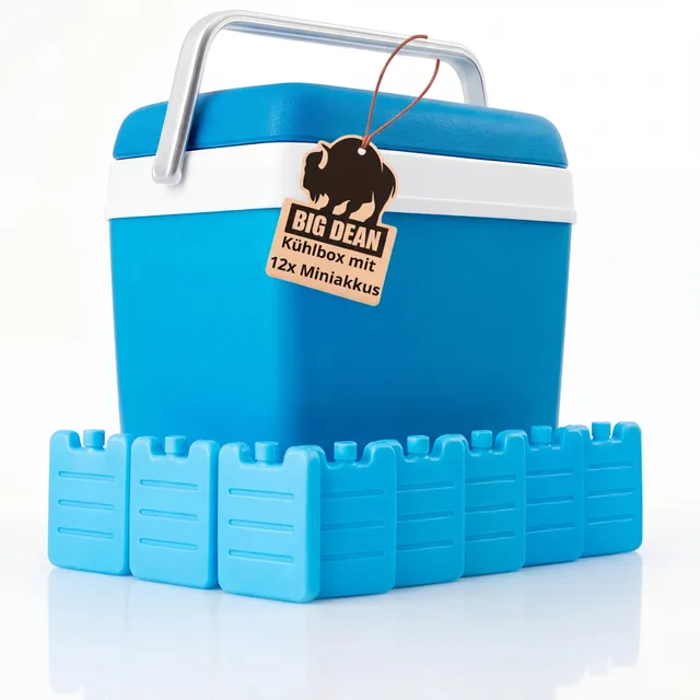 BigDean Kühlbox 24 Liter inkl. 12 Kühlakkus bis 11h