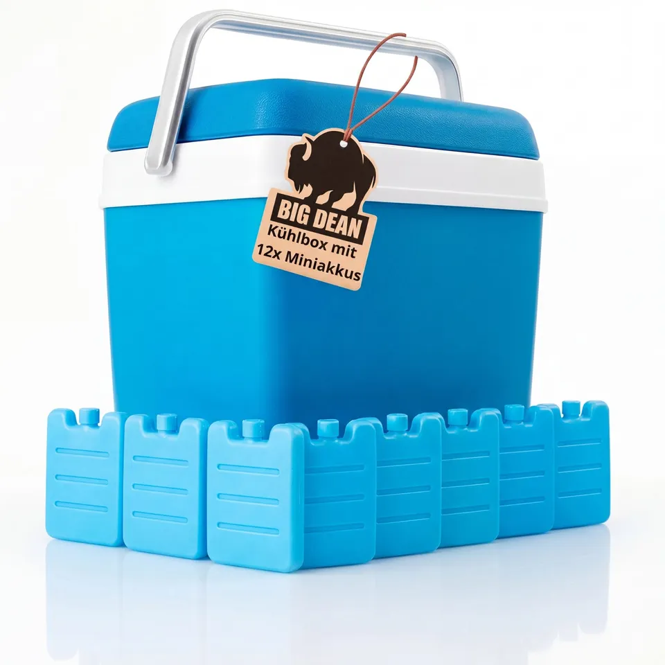 BigDean Kühlbox 24 Liter inkl. 12 Kühlakkus bis 11h