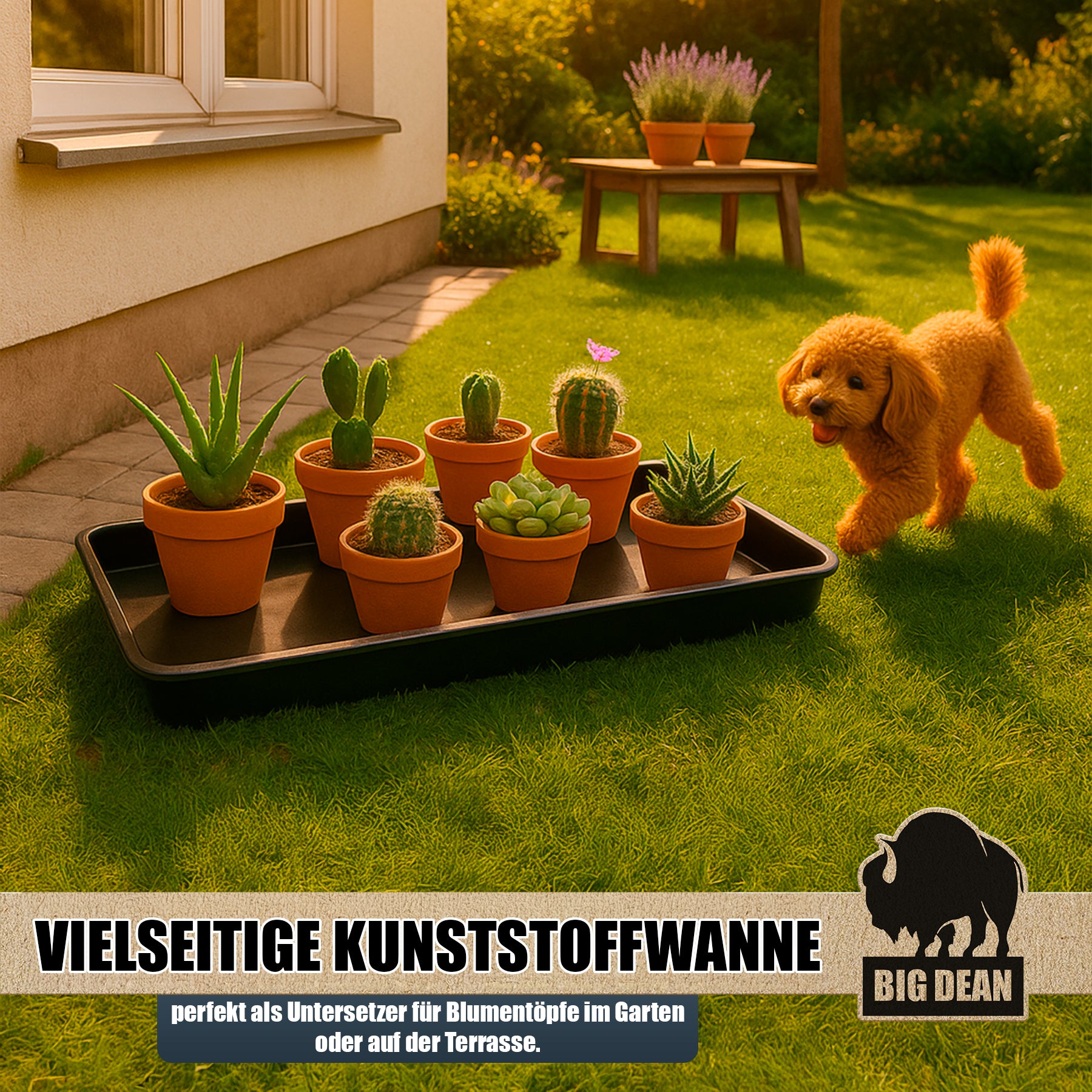 BigDean Haushalt & Alltag XL Wanne 79x40x5 cm Kunststoff
