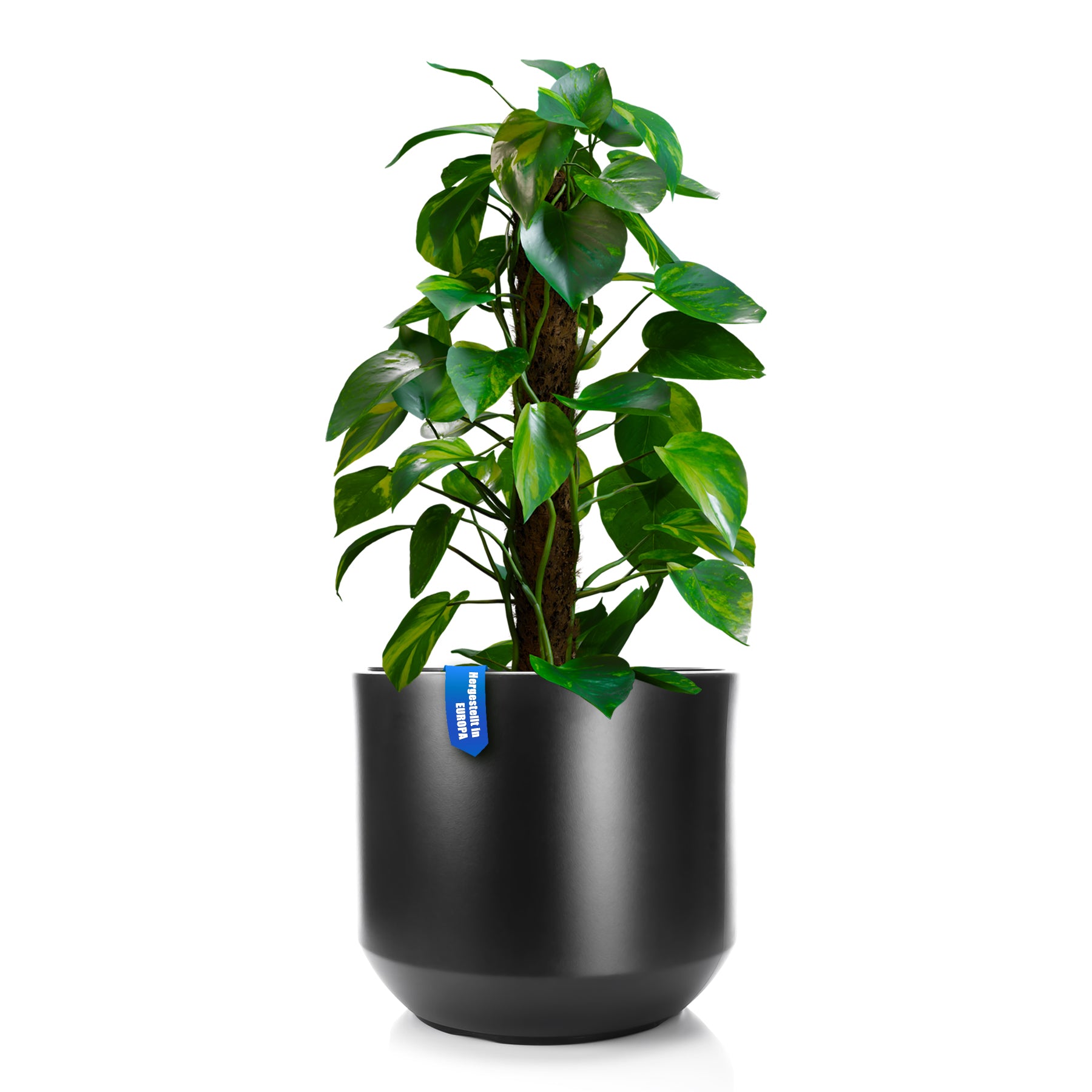 BigDean Style Blumentopf 40 cm Anthrazit Pflanzkübel Innentopf
