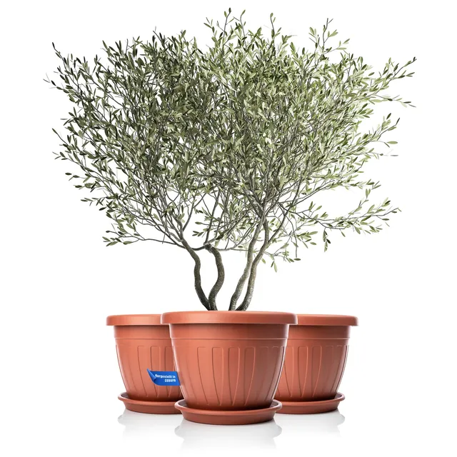 BigDean Blumentopf Untersetzer rund 50cm terracotta 3x