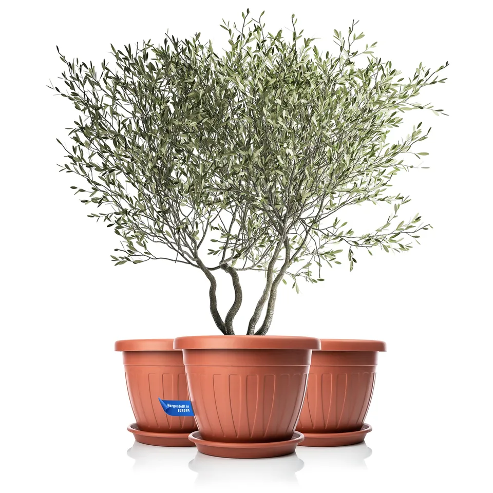 BigDean Blumentopf Untersetzer rund 50cm terracotta 3x