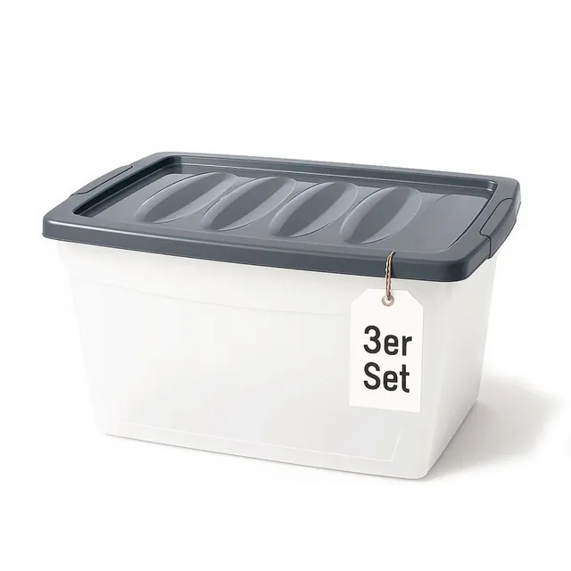 BigDean Budget Line Aufbewahrungsbox 60 L transparent 3er Set