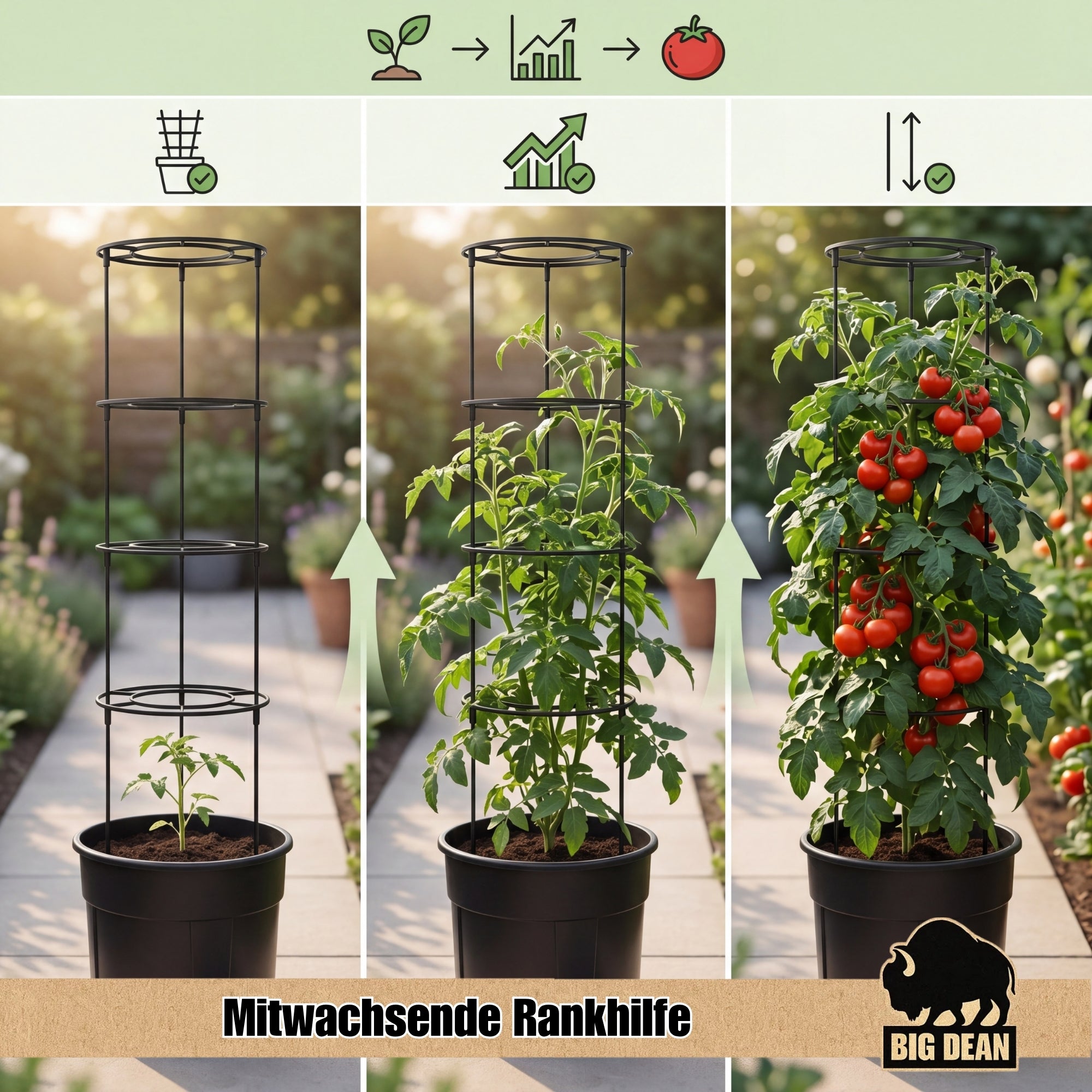 BigDean Garten Tomatentopf XL 40cm Rankhilfe 2er Set
