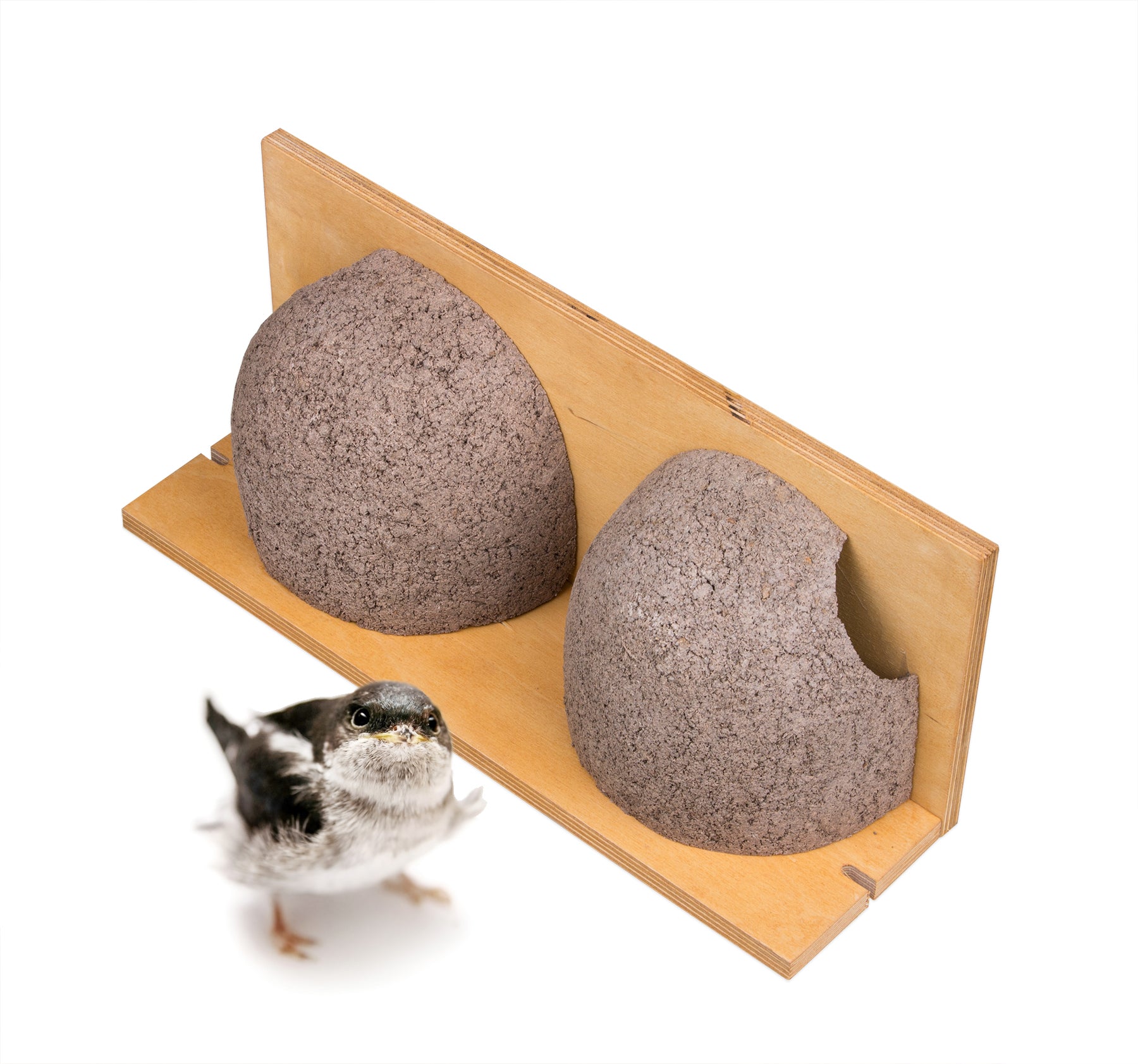 BigDean Garten Schwalbennistkasten Doppelnest Holzbeton 2 Stück