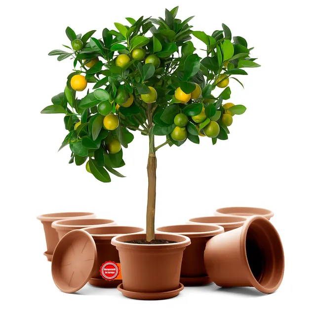 BigDean Blumentopf 35cm Terrakotta 8er mit Untersetzer
