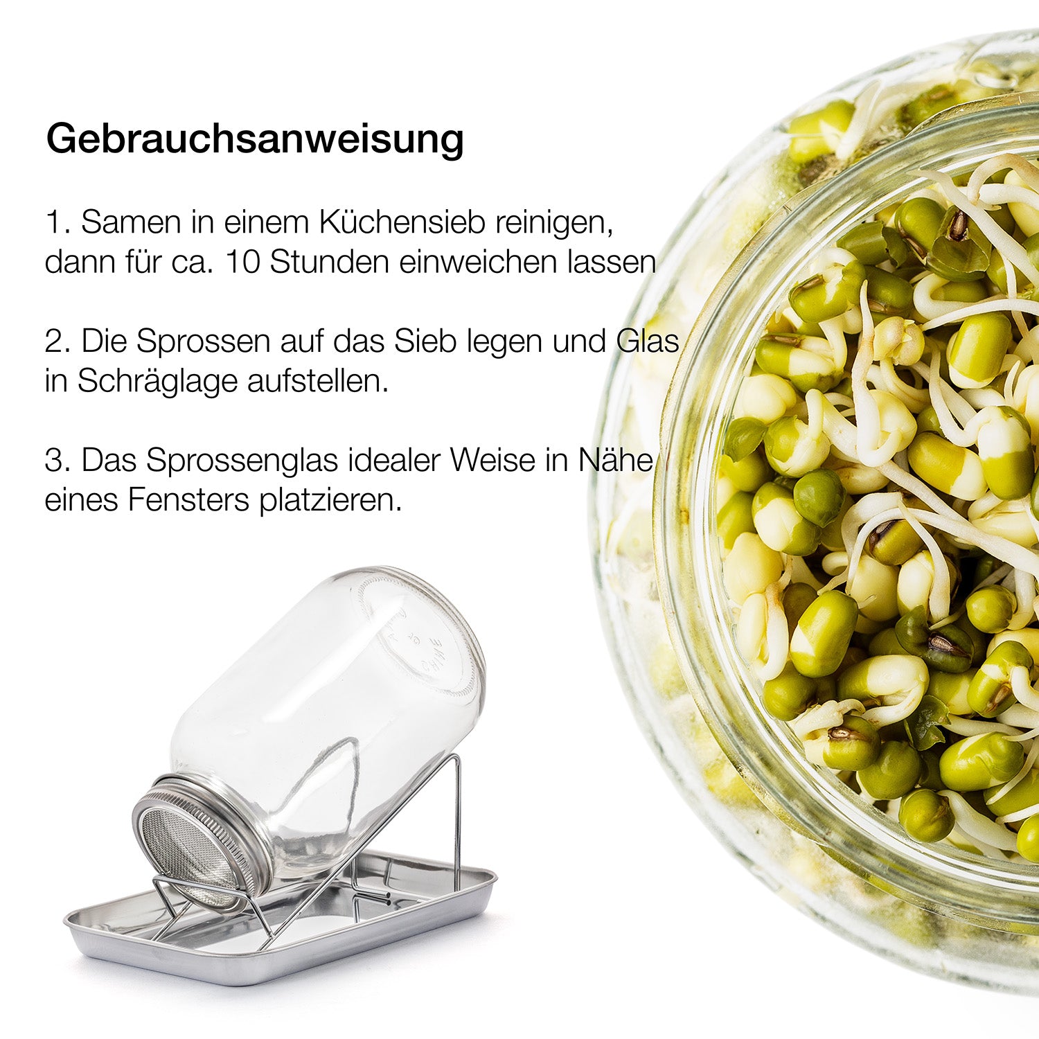 BigDean Sprossenglas Keimglas Set 1000ml mit Ständer