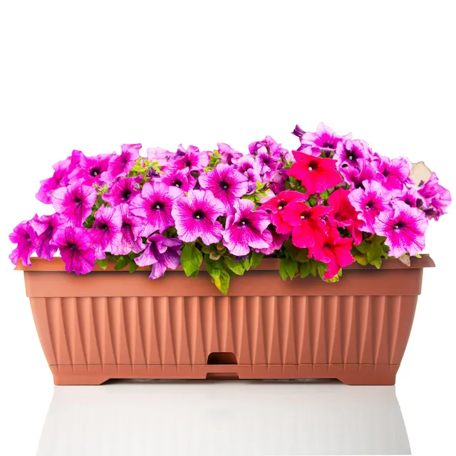 BigDean Blumenkasten Terracotta 50 cm mit Untersetzer