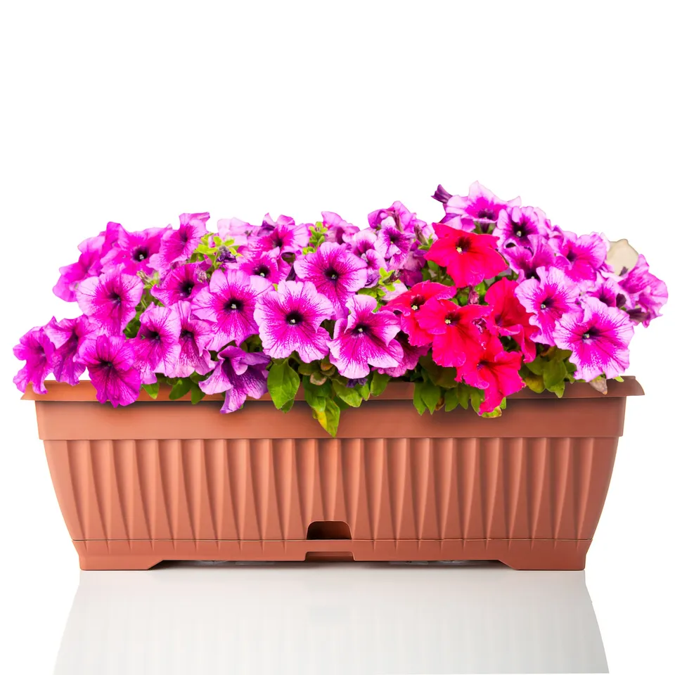 BigDean Blumenkasten Terracotta 50 cm mit Untersetzer