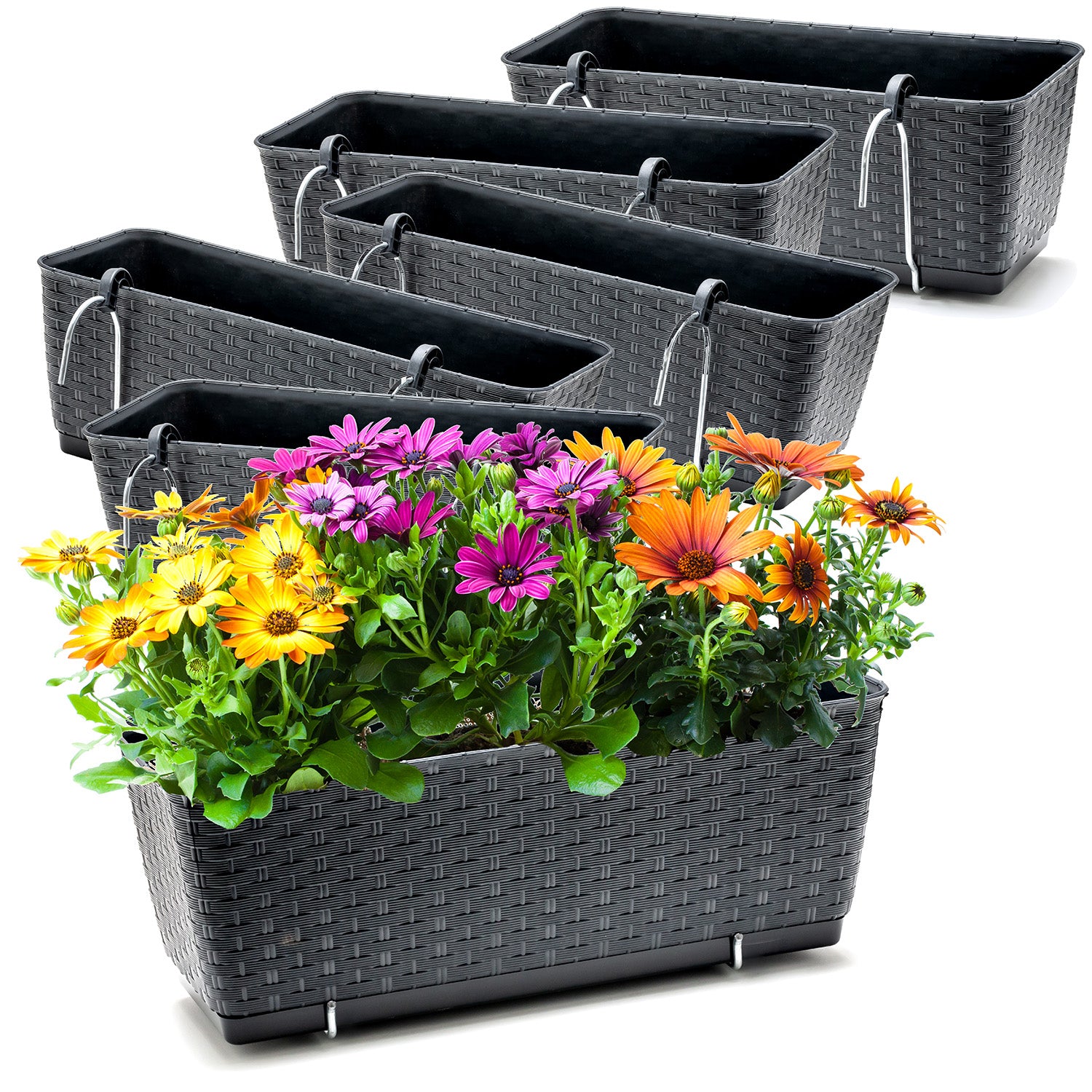 BigDean Blumenkästen 6er-Set Rattan Anthrazit 39cm