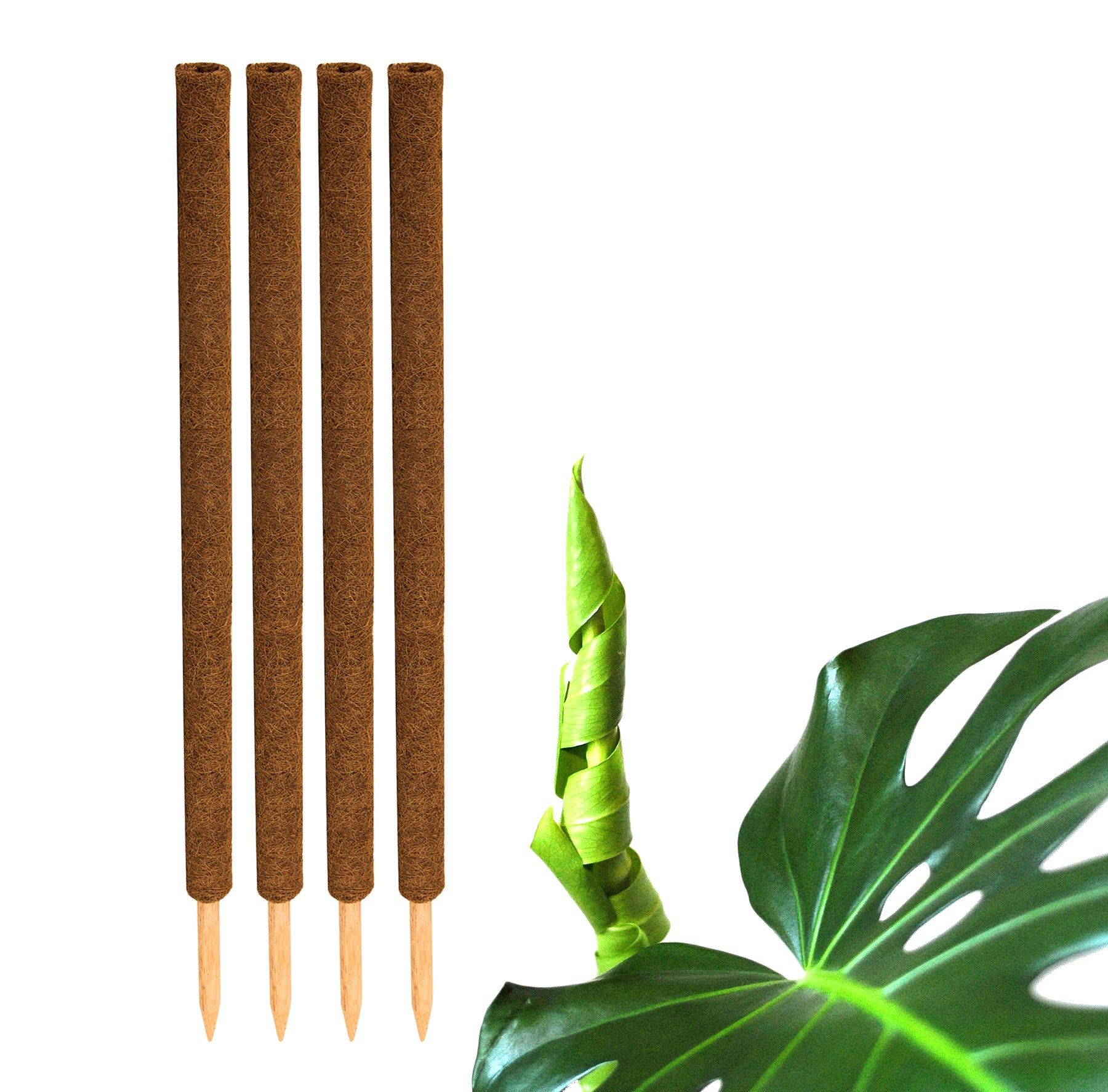 BigDean Pflanzstäbe Kokos 110cm 4er Set Rankhilfe Moosstäbe