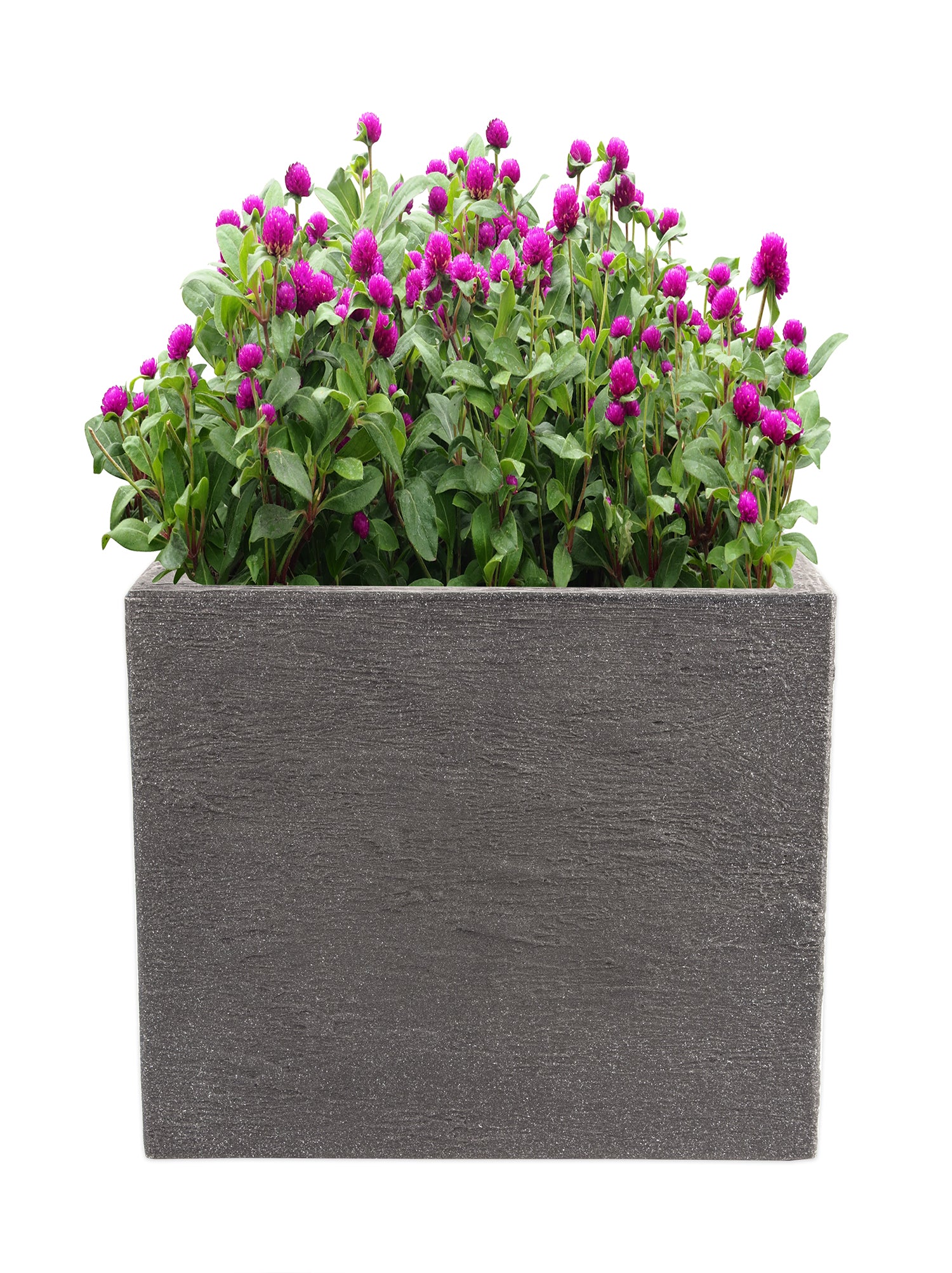 BigDean Garten Pflanzkübel Kubus 50x50 Anthrazit Frostsicher XXL