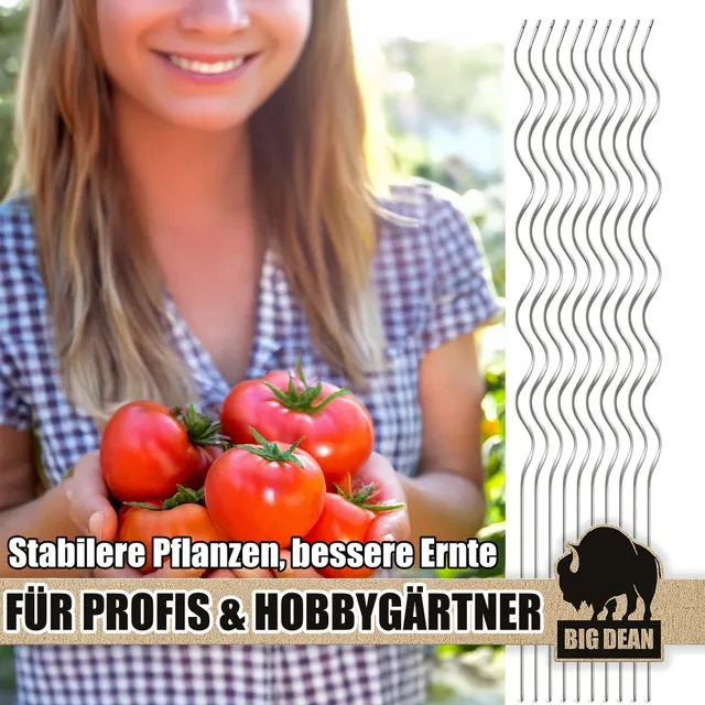 BigDean Tomatenspiralstab 110cm Verzinkt 30er Set Stahl