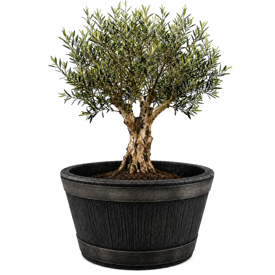 BigDean Weinfass XL Bottich 90 L Anthrazit Holzoptik