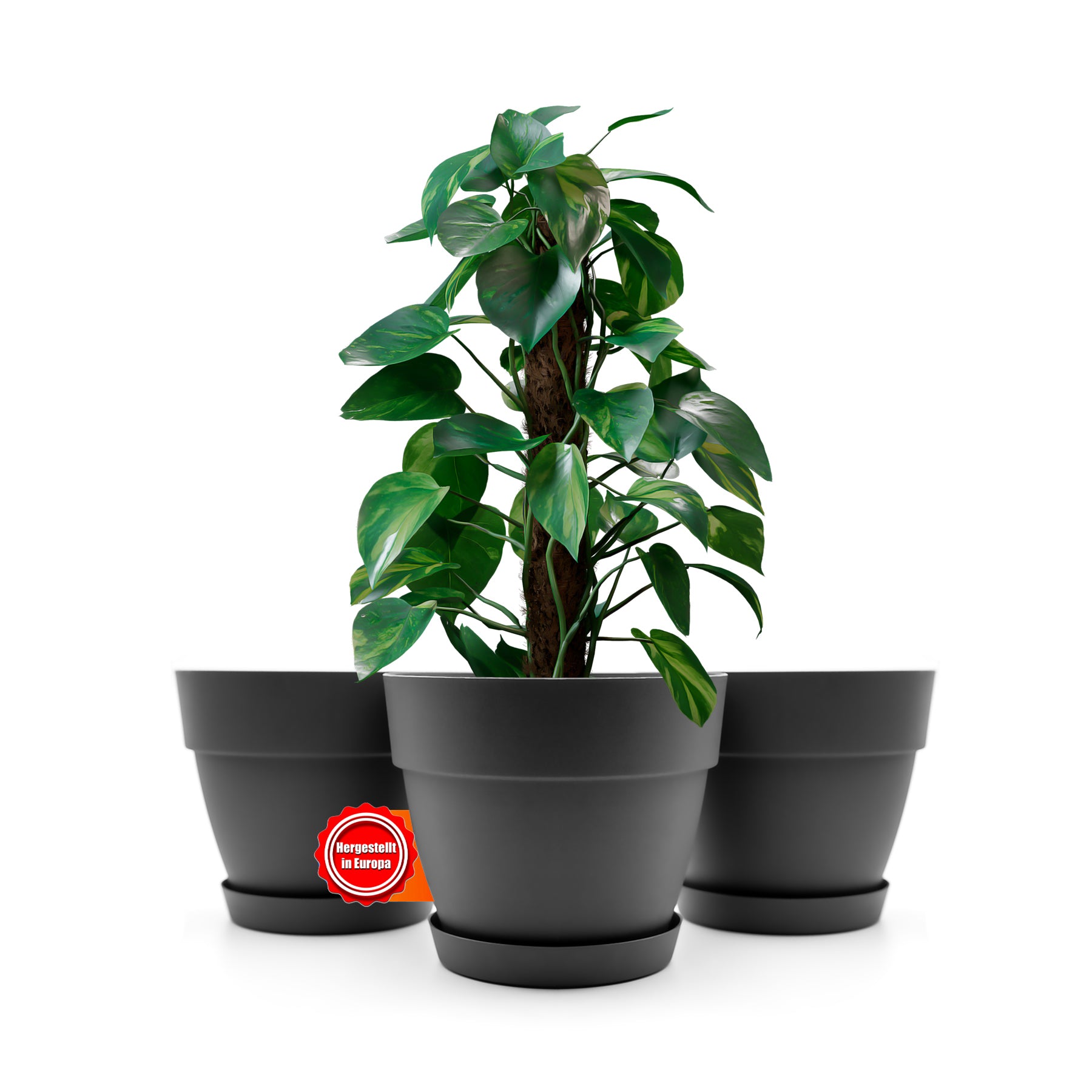 BigDean Blumentopf Ø35 cm anthrazit 3er Set mit Untersetzer