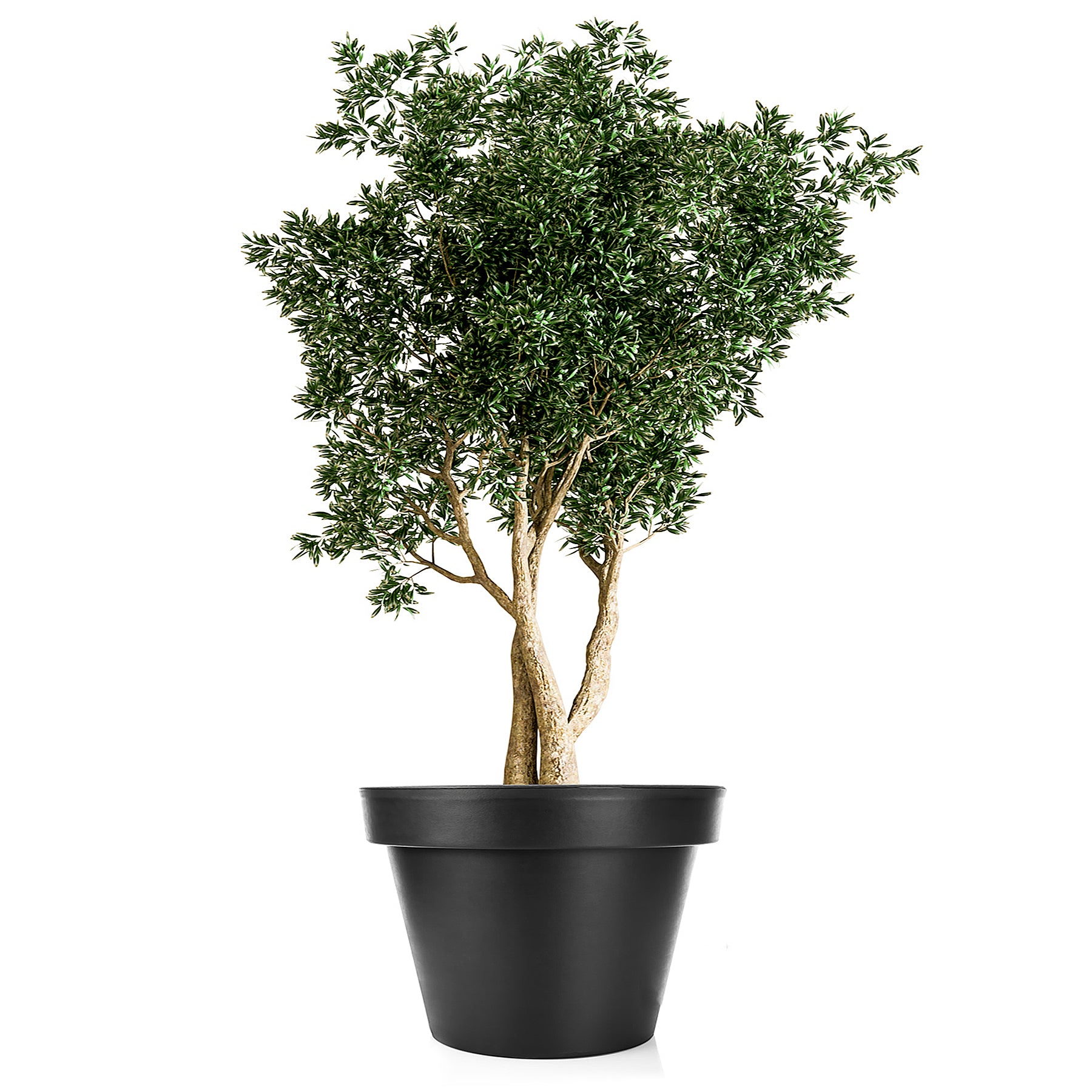 BigDean Garten Blumentopf XXL 60cm Anthrazit 80L mit Rollen