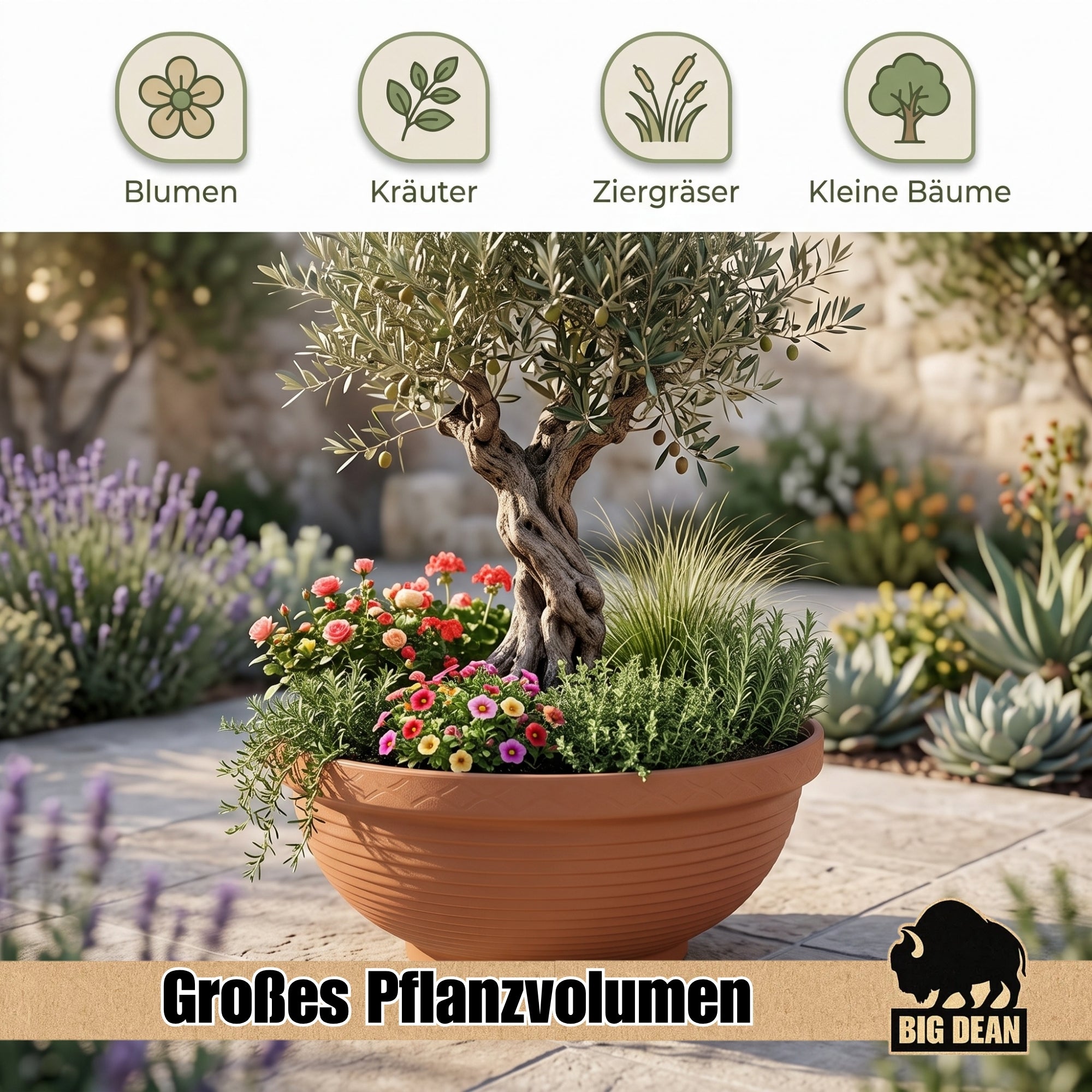 BigDean XXL Pflanzschale 65cm Terrakotta Miniteich Schale