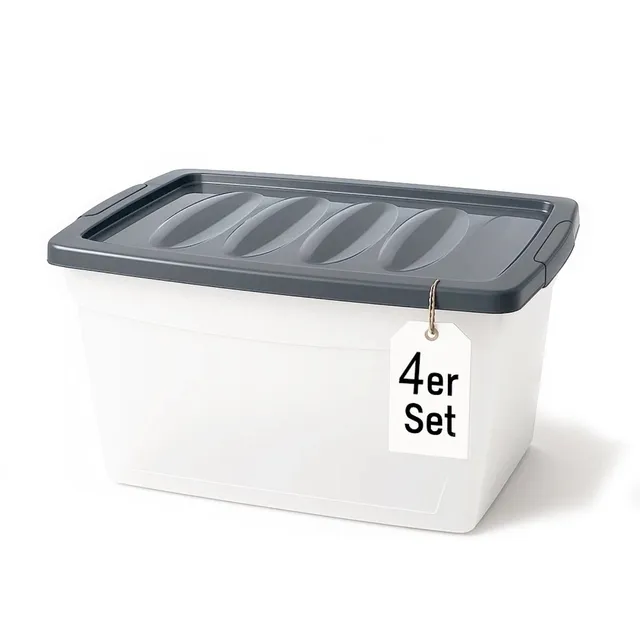 BigDean Budget Line Aufbewahrungsbox 4x 60 L mit Deckel transparent