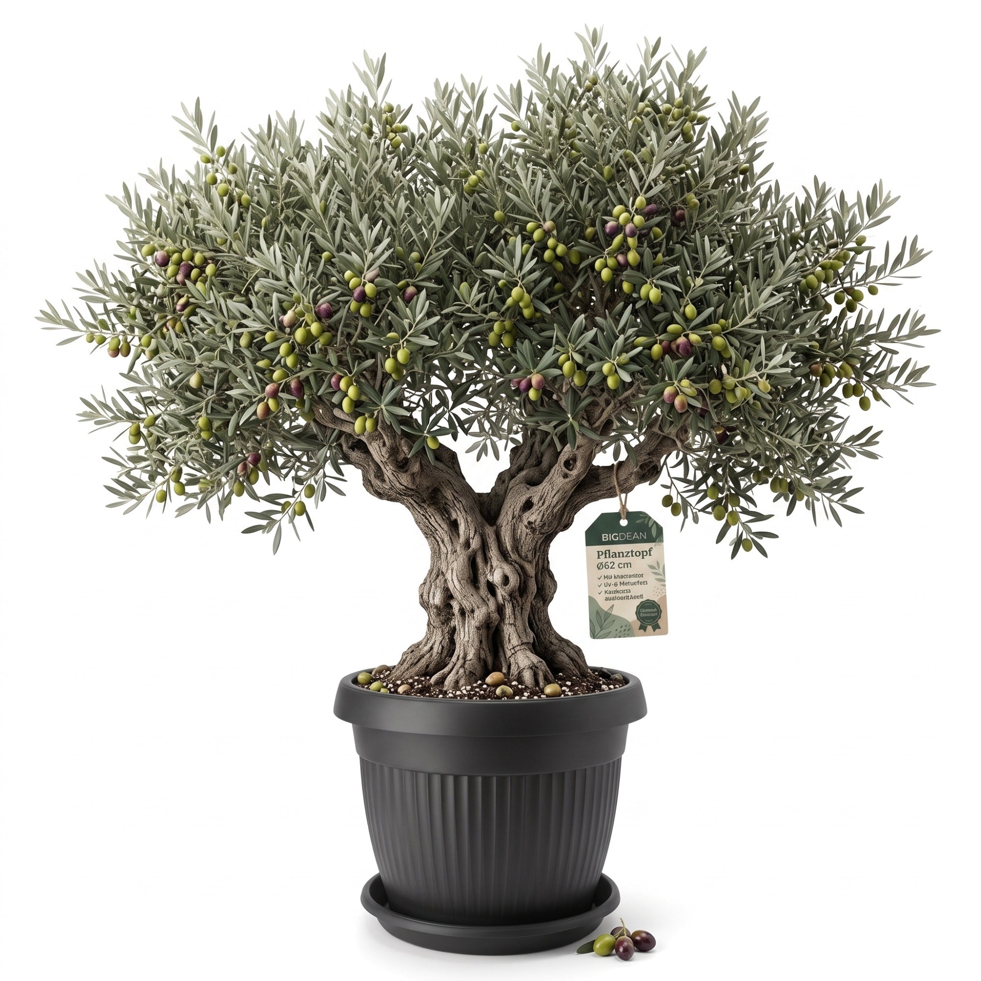 BigDean Blumentopf 62cm Anthrazit mit Untersetzer Pflanzkübel