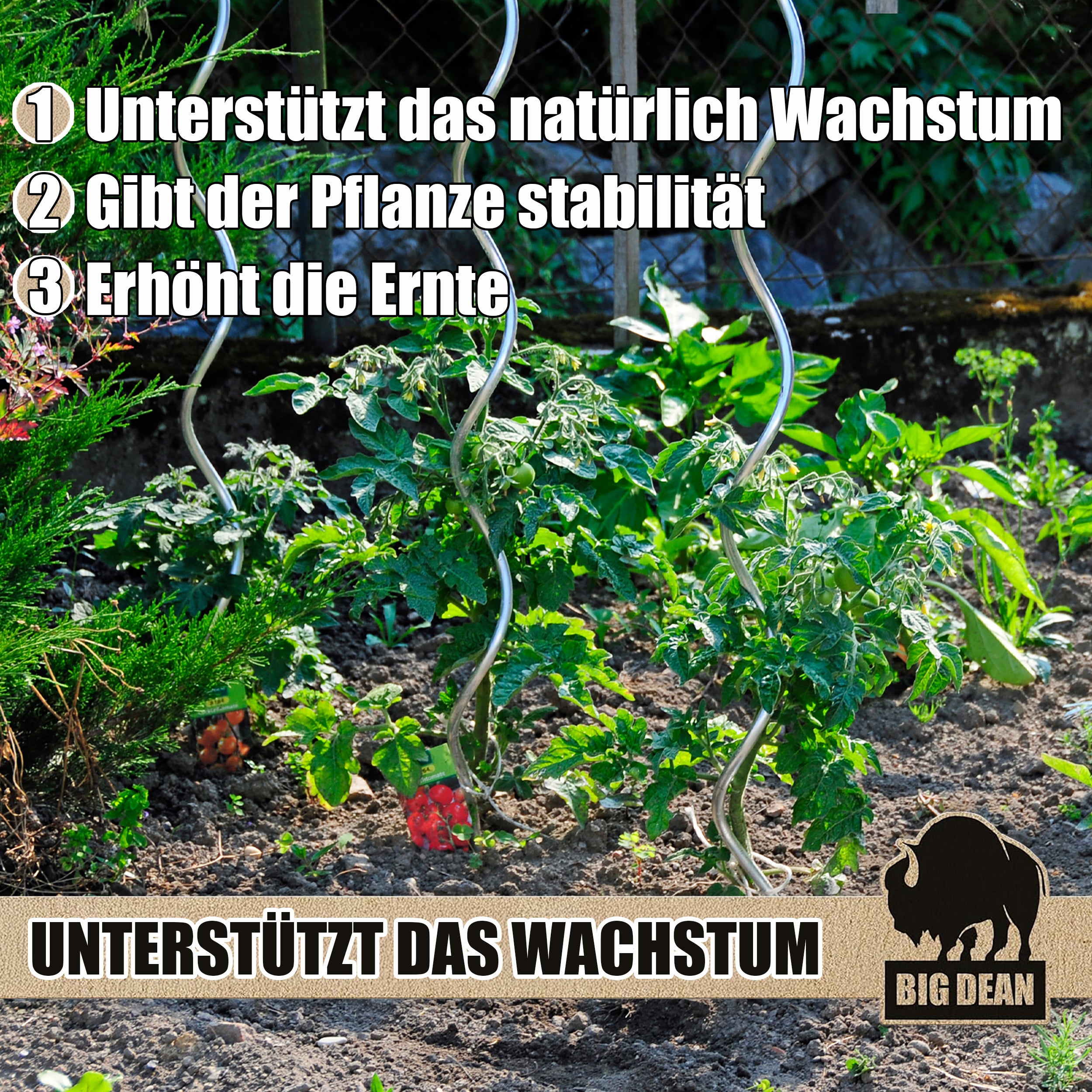 BigDean Tomatenspiralstab 110cm Verzinkt 30er Set Stahl