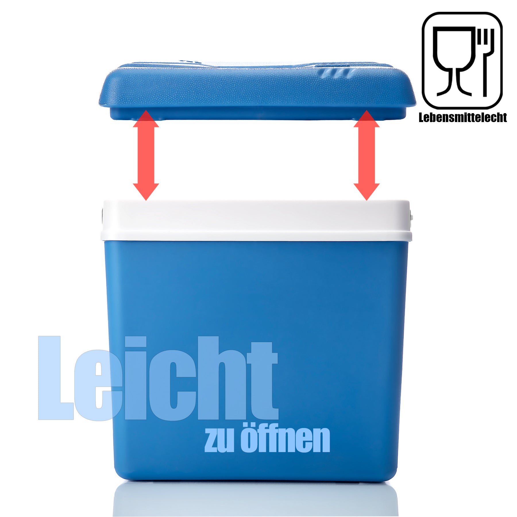 BigDean Kühlbox 24 Liter blau-weiß 11 Std.