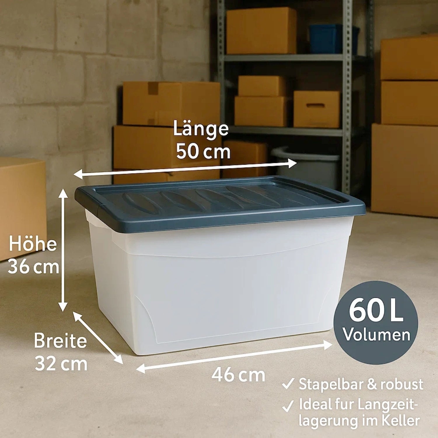 BigDean Budget Line Aufbewahrungsbox 4x 60 L mit Deckel transparent