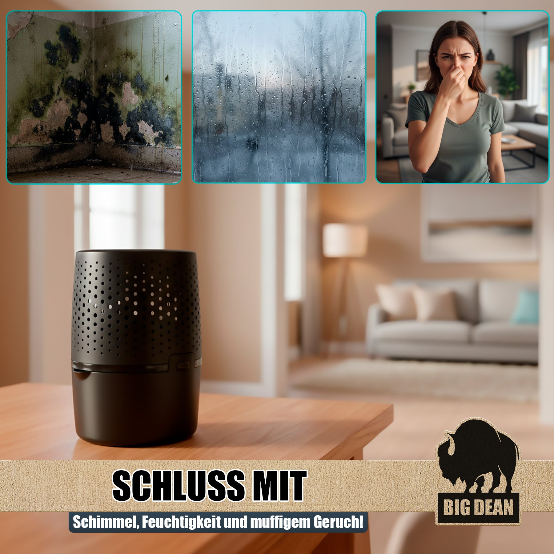 BigDean Bad & Reinigung Luftentfeuchter ohne Strom Anthrazit XL
