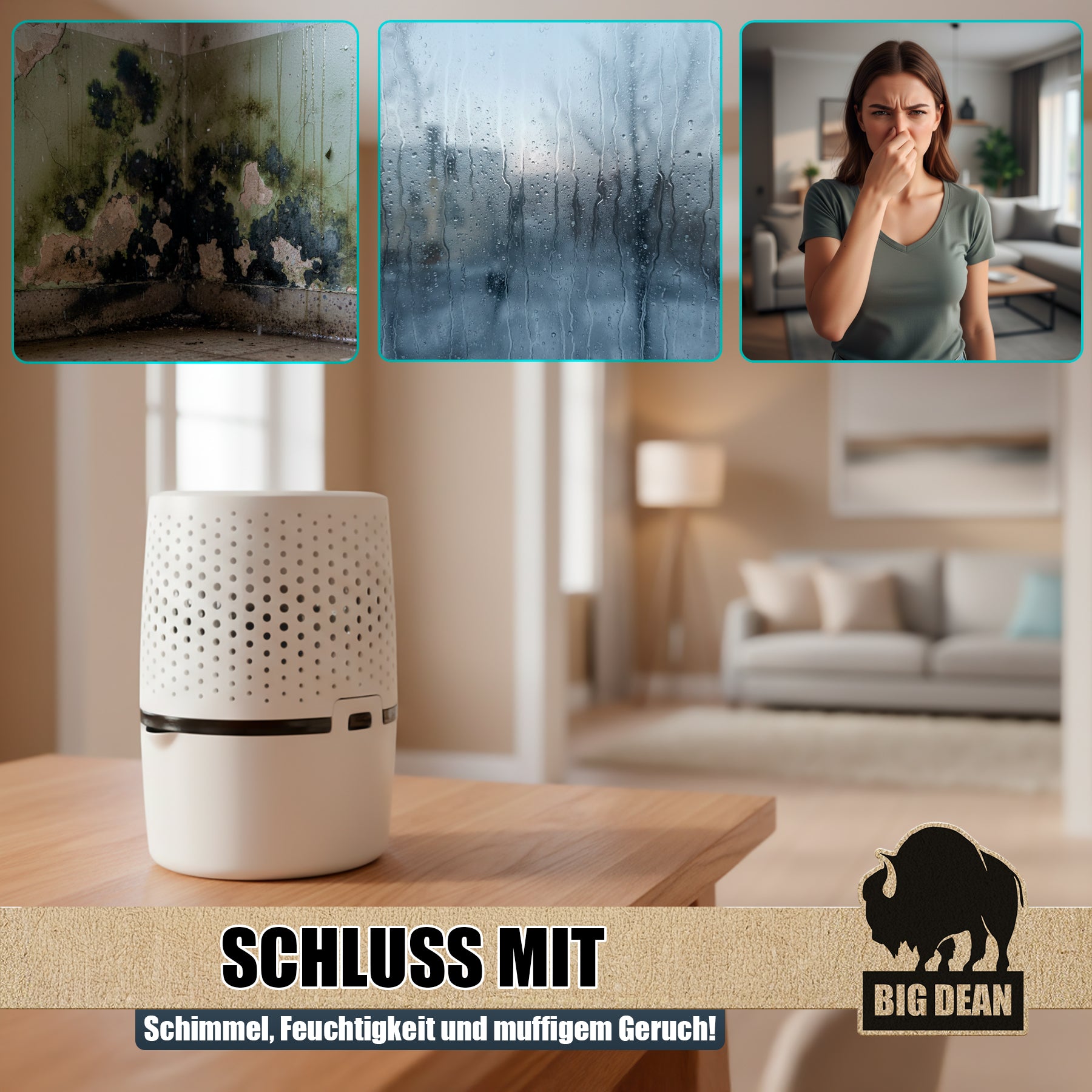 BigDean Bad Luftentfeuchter ohne Strom XL mit Granulat