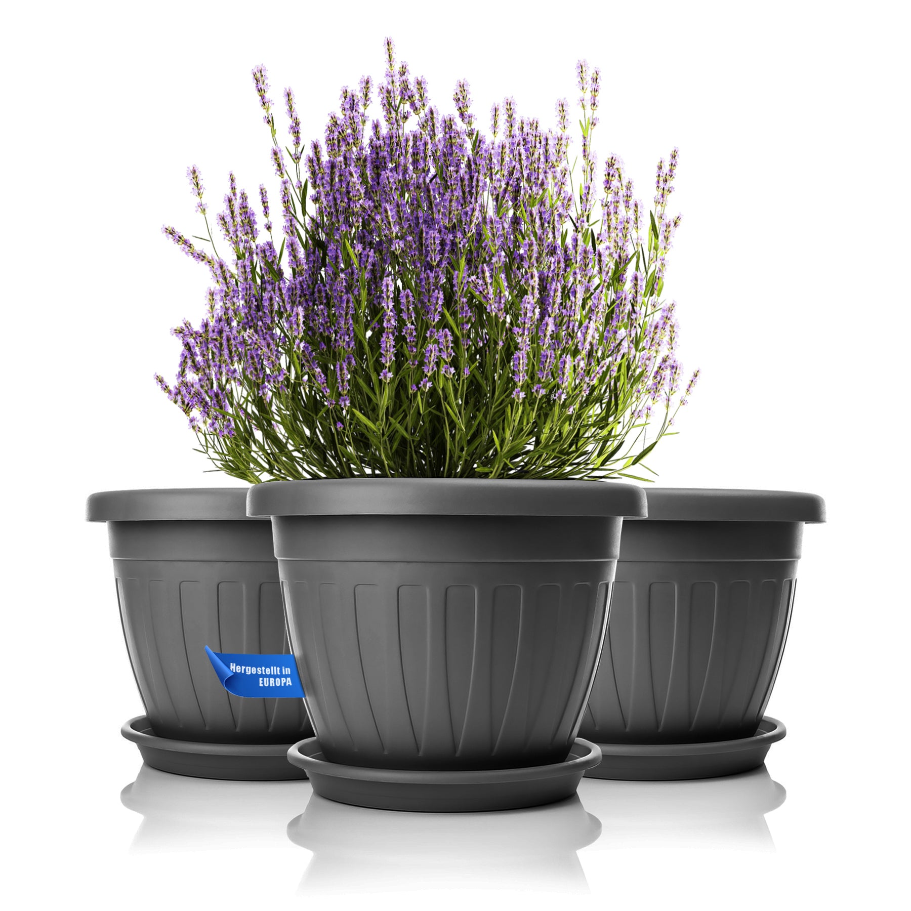 BigDean Blumentopf mit Untersetzer ø40cm anthrazit 3er