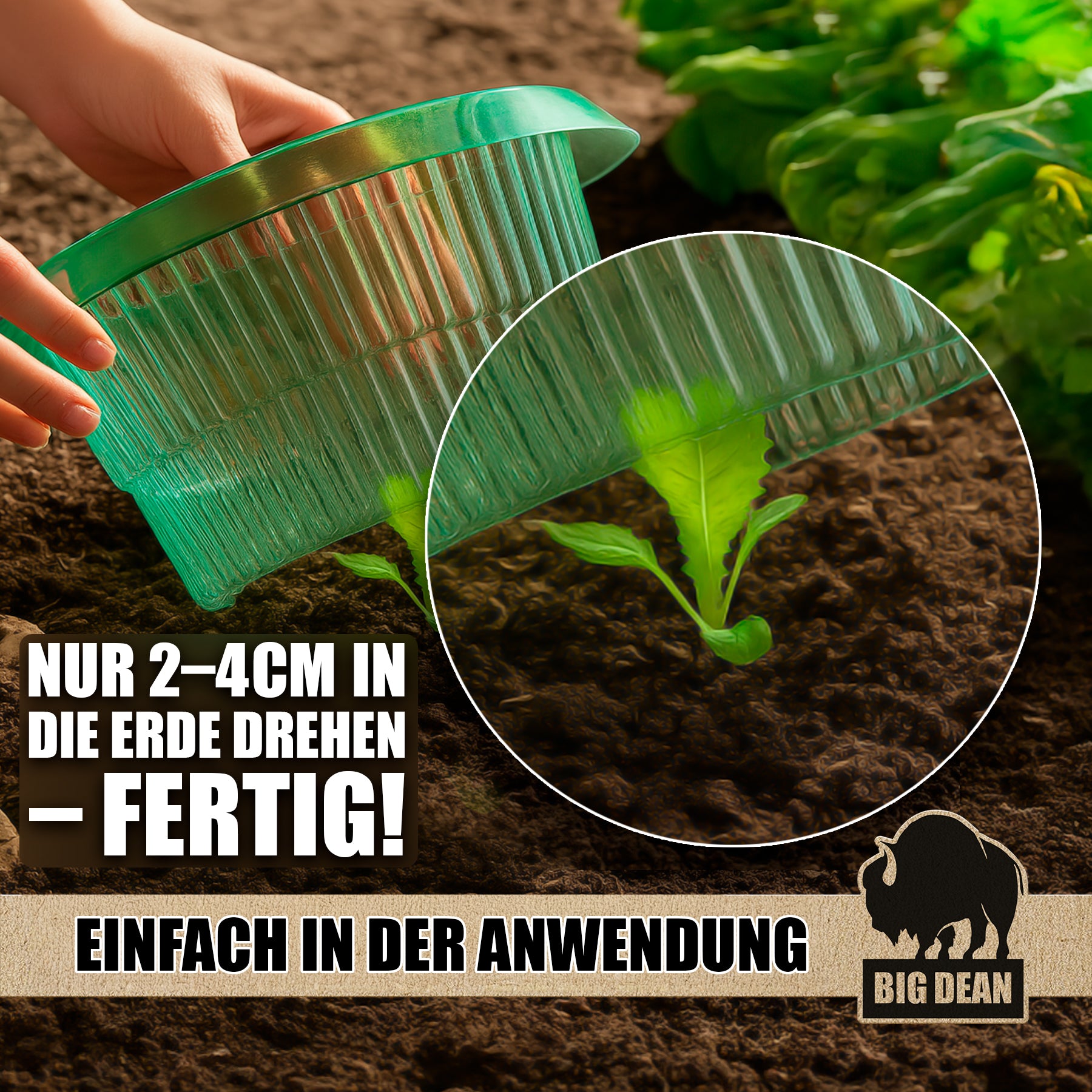 BigDean Schneckenkragen 48er Set Bio Schutz PET