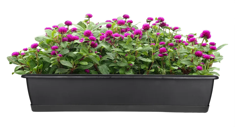 BigDean Garten Blumenkasten 60cm anthrazit mit Untersetzer