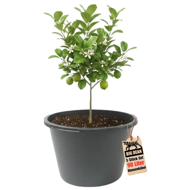 BigDean Blumenkübel XXL 90 Liter 63cm Pflanzkübel