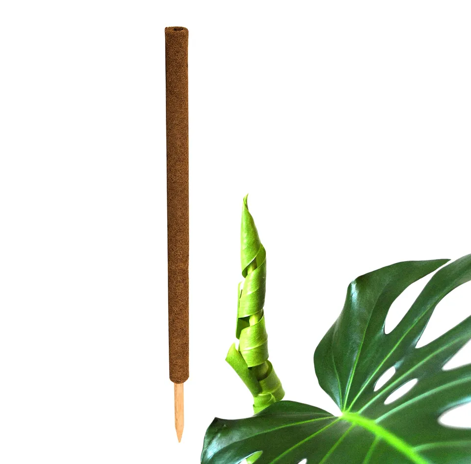 BigDean Garten Pflanzstab Kokos 110 cm Rankhilfe Monstera