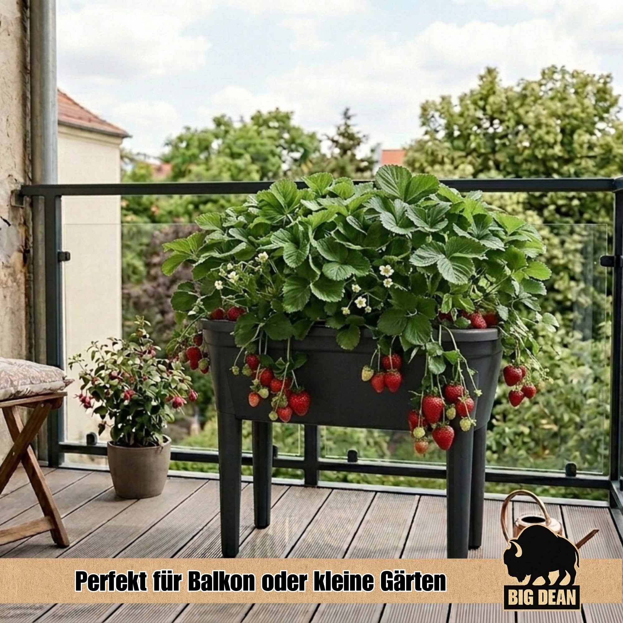 BigDean Garten & Außenbereich Hochbeet Frühbeet Anthrazit 78cm