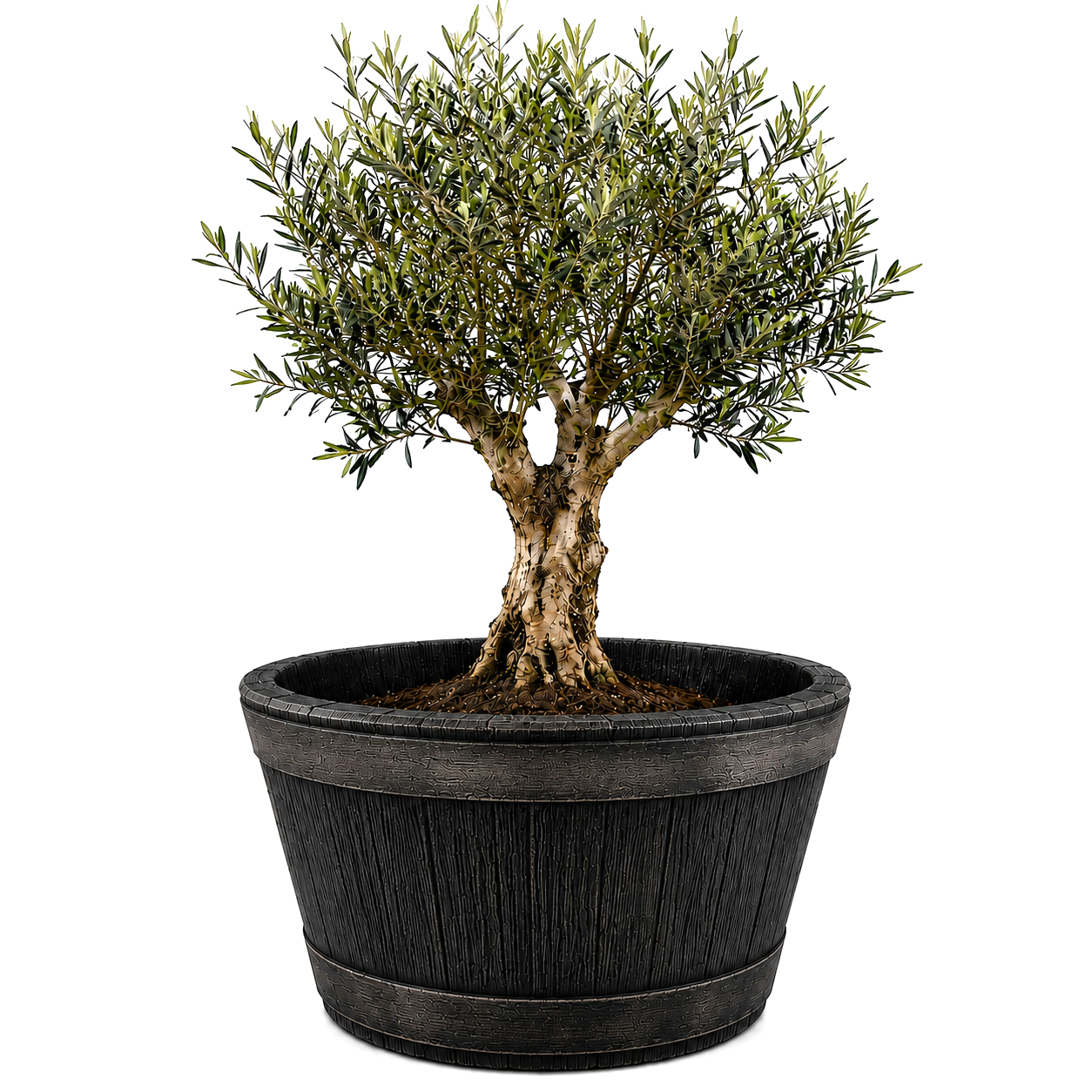 BigDean Weinfass XL Bottich 90 L Anthrazit Holzoptik