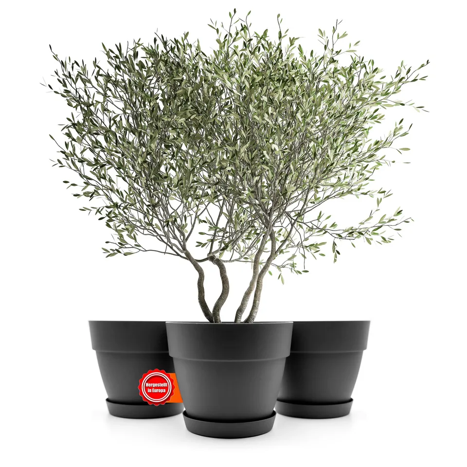 BigDean Blumentopf mit Untersetzer 3er Set ø40 Anthrazit