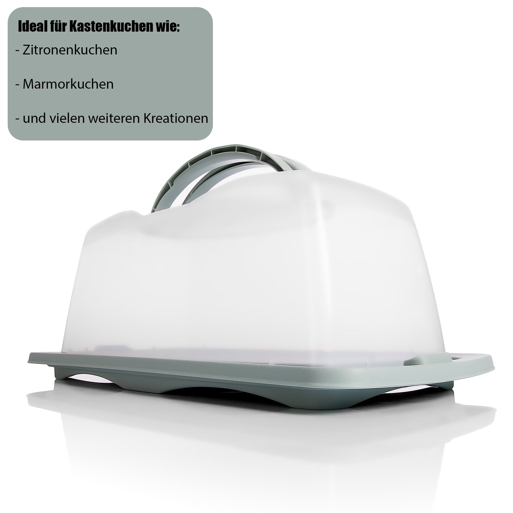 BigDean Kuchen Transportbox Rechteckig Pastell Grün
