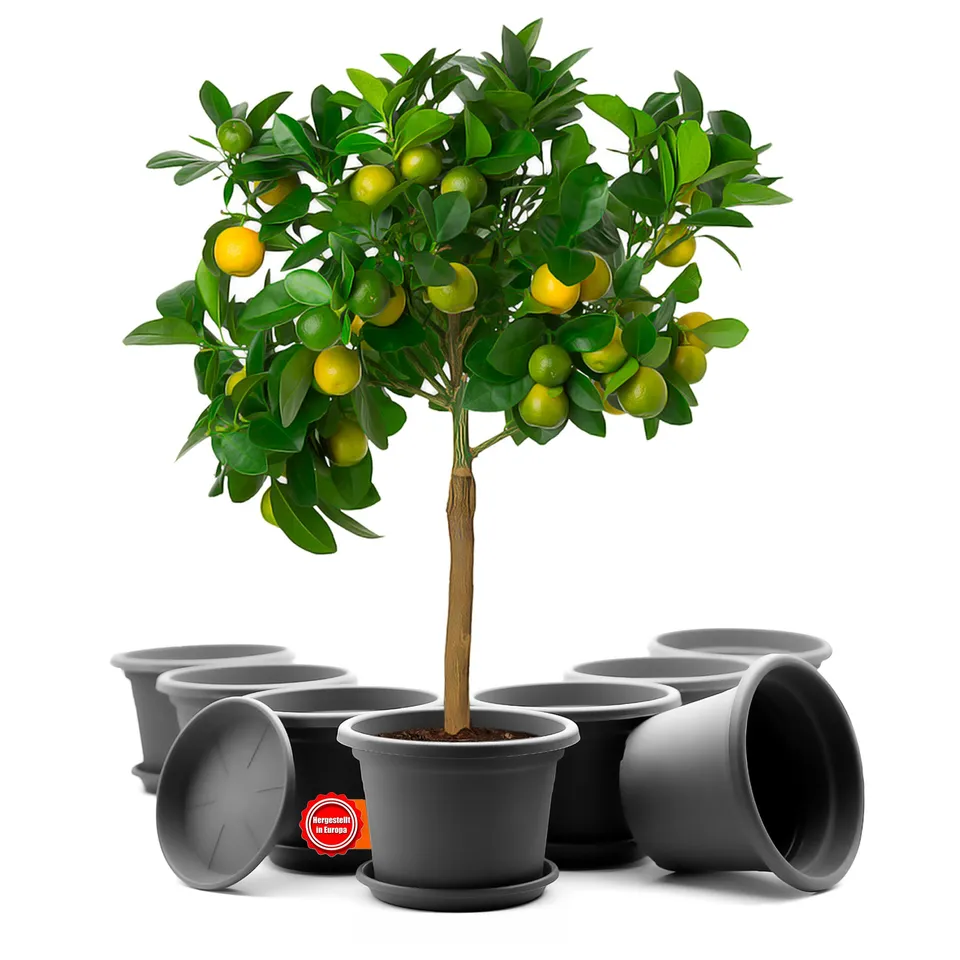 BigDean Blumentopf ø35 cm Anthrazit 8er Set mit Untersetzer
