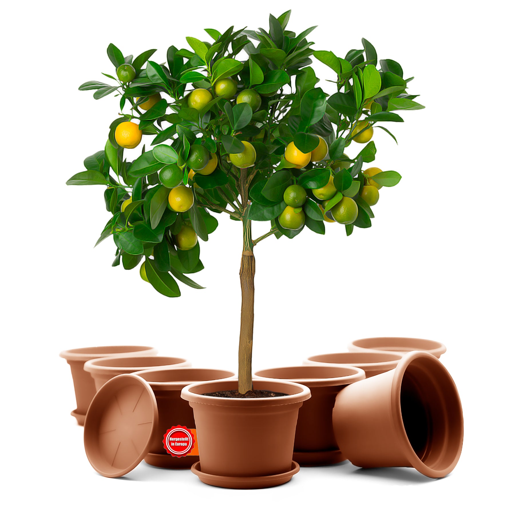 BigDean Blumentopf 35cm Terrakotta 8er mit Untersetzer