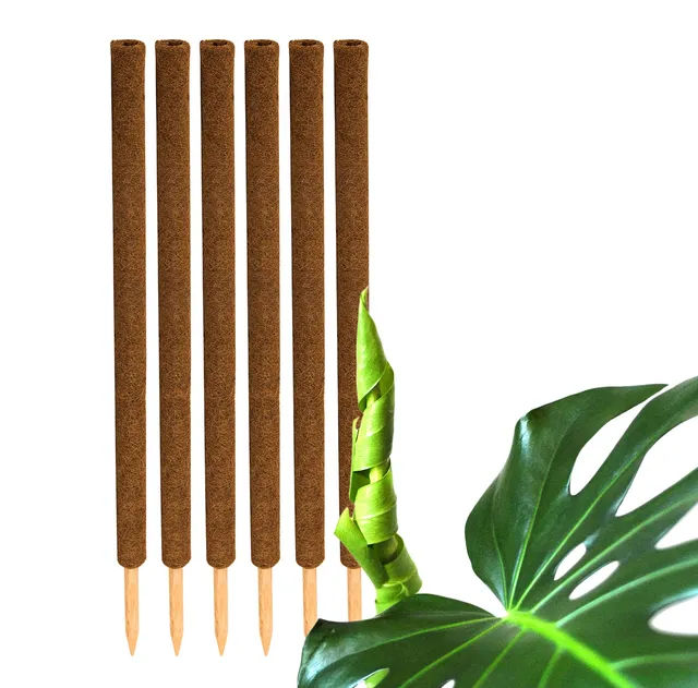 BigDean Pflanzstäbe Kokos 110 cm Rankhilfe 6er Set Natur